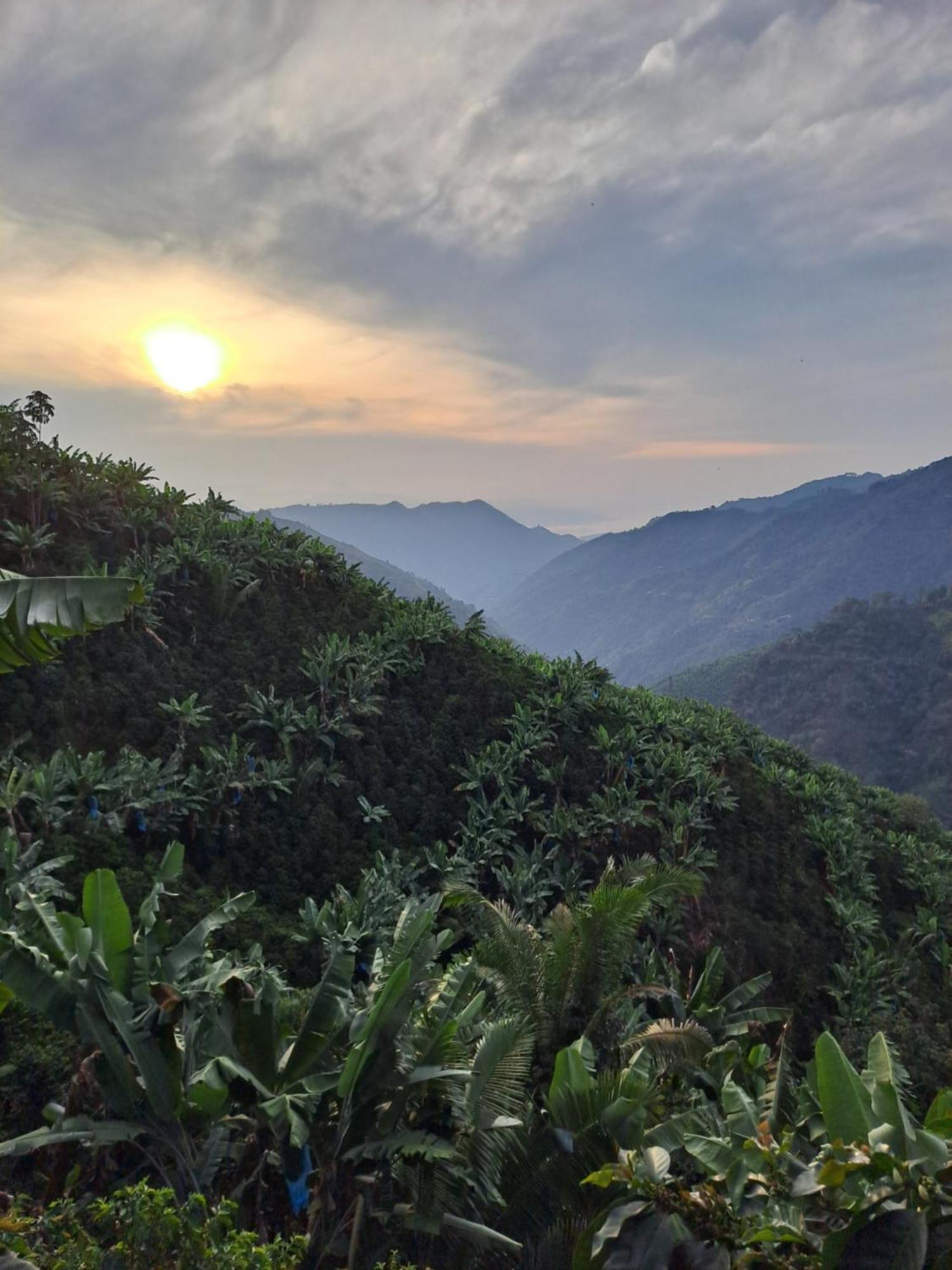 Finca La Manchuria Salgar  Dış mekan fotoğraf